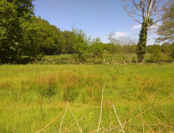 4255b3f0-4d09-4e35-8b1d-ae9c126ca596