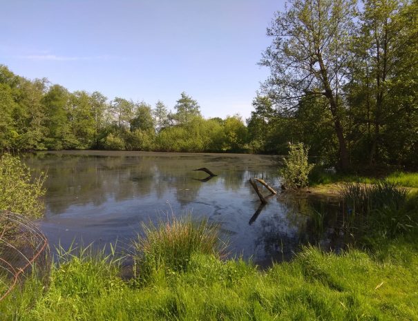 4a651838-a5f7-48cc-9f0b-ad230a44fabc